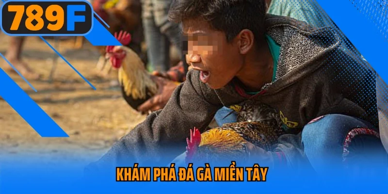Khám phá đá gà miền Tây