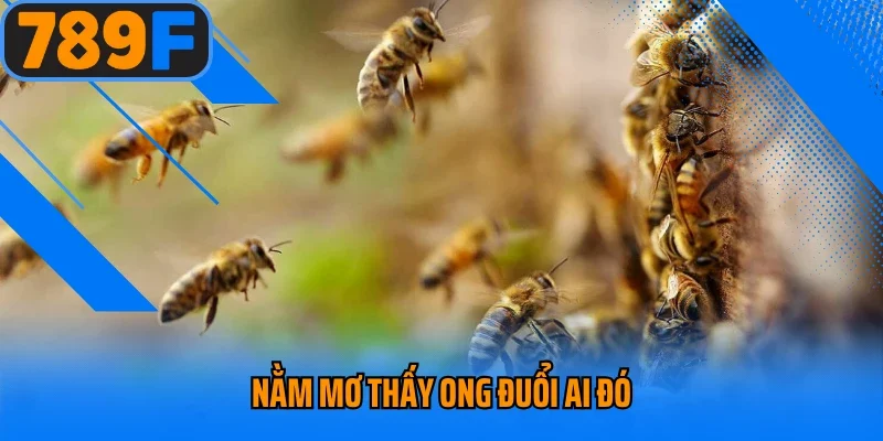 Nằm mơ thấy ong đuổi ai đó